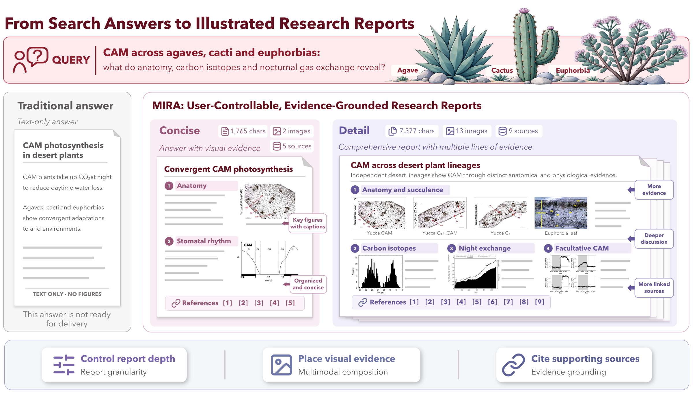 One multimodal request about CAM photosynthesis answered three ways: a traditional short answer, a MIRA Concise report and a MIRA Detail report with more images and sources.